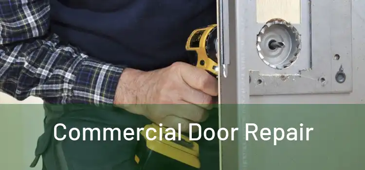 Commercial Door Repair
